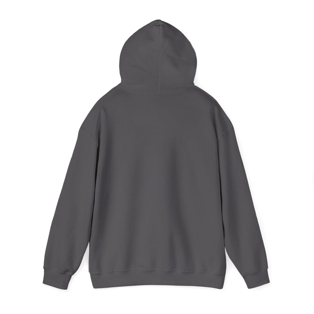 Make Small Engines Great Again Hoodie | Retro Stars Engine Repair Shirt