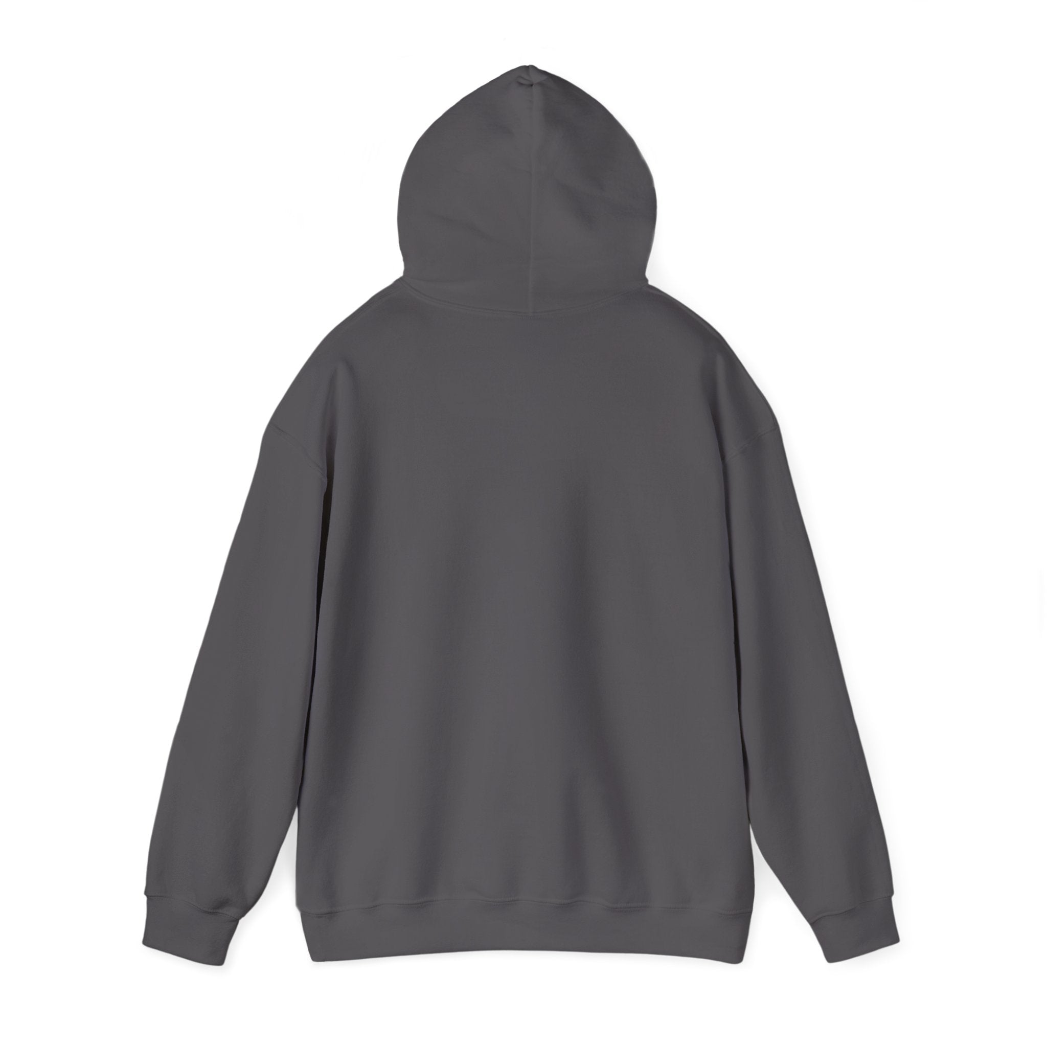 Make Small Engines Great Again Hoodie | Retro Stars Engine Repair Shirt