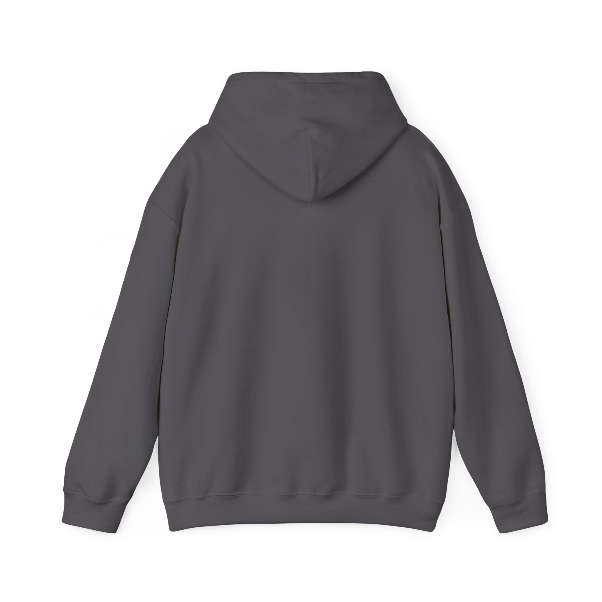 Make Small Engines Great Again Hoodie | Retro Stars Engine Repair Shirt